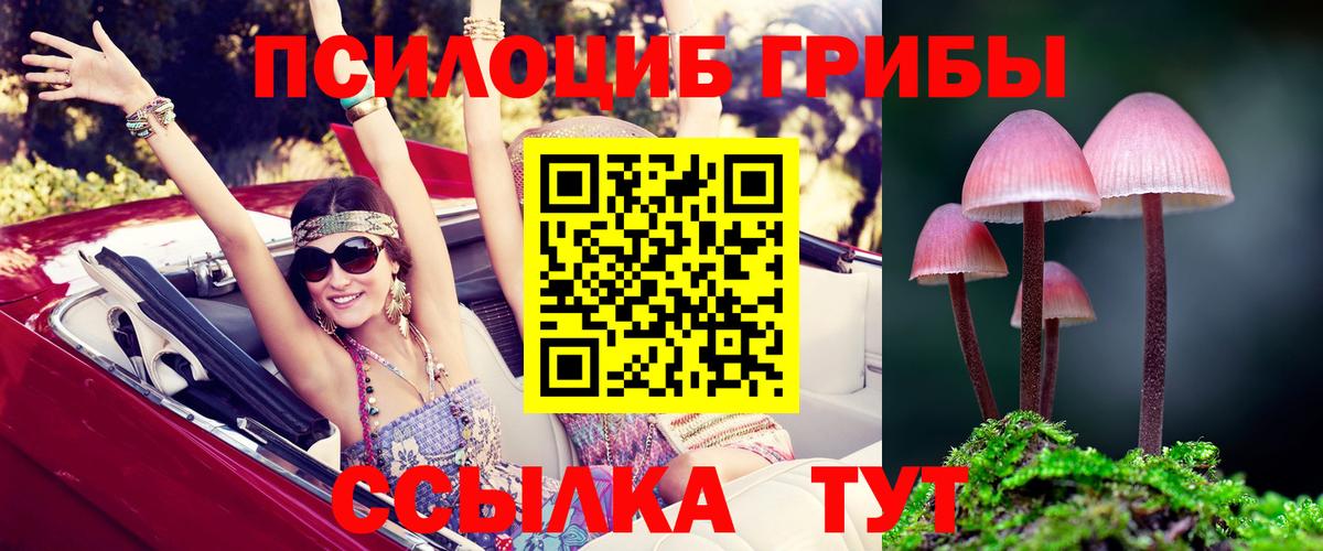 Псилоцибиновые грибы MAGIC MUSHROOMS  Вход с VPN  продажа наркотиков  Людиново 