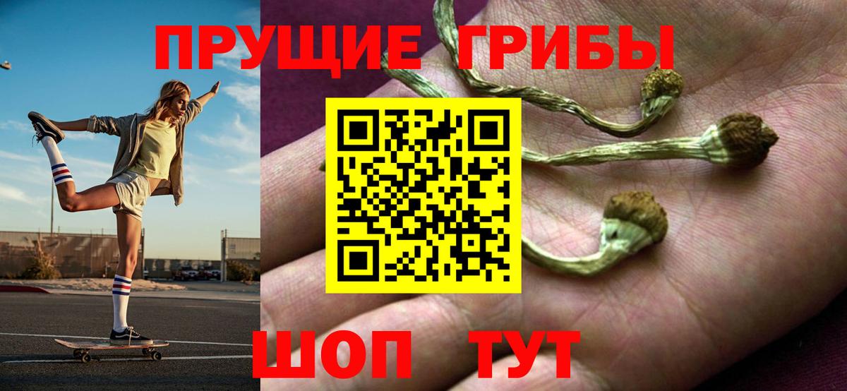 Псилоцибиновые грибы мицелий Людиново